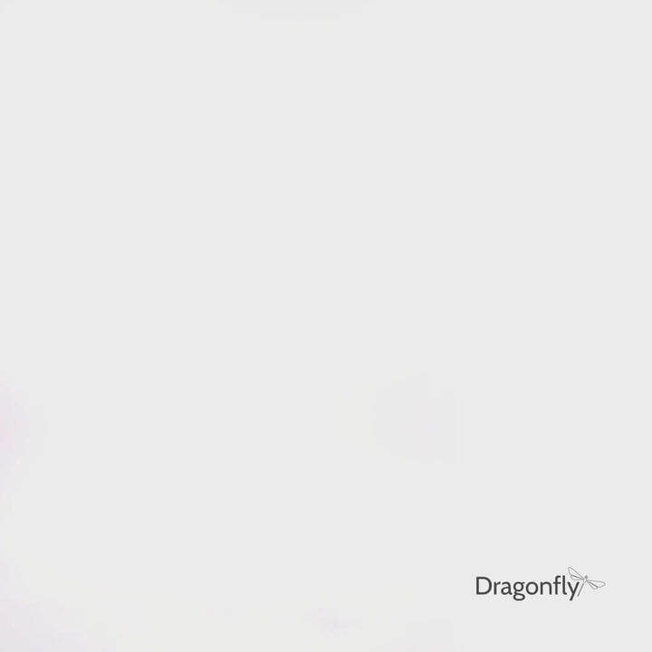 {{ product.title }} | {{ product.type }} Dragonfly Clothing